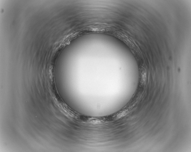 X0000087740620200705070928