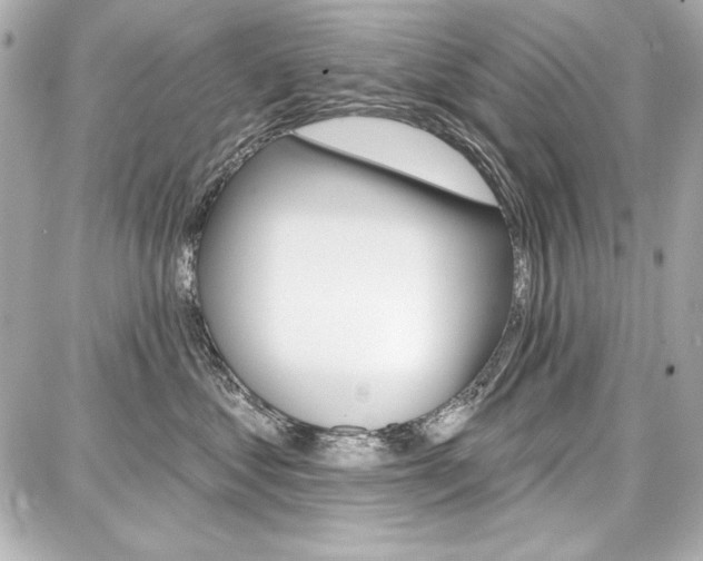 X0000087740621200705070928