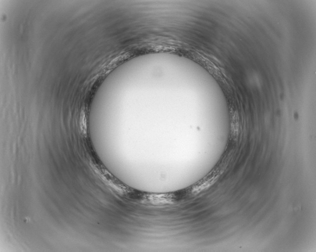 X0000087740622200705070928