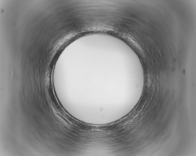 X0000087740632200705070927