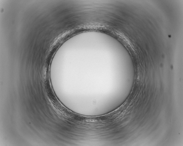 X0000087740636200705070927