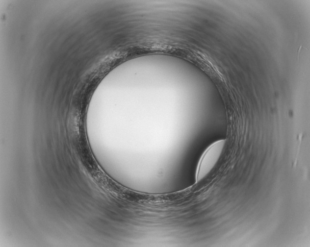 X0000087740643200705070927