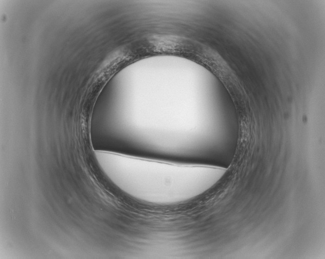 X0000087740648200705070927