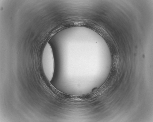 X0000087740650200705070927