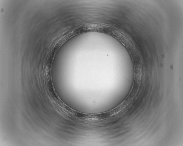 X0000087740653200705070927