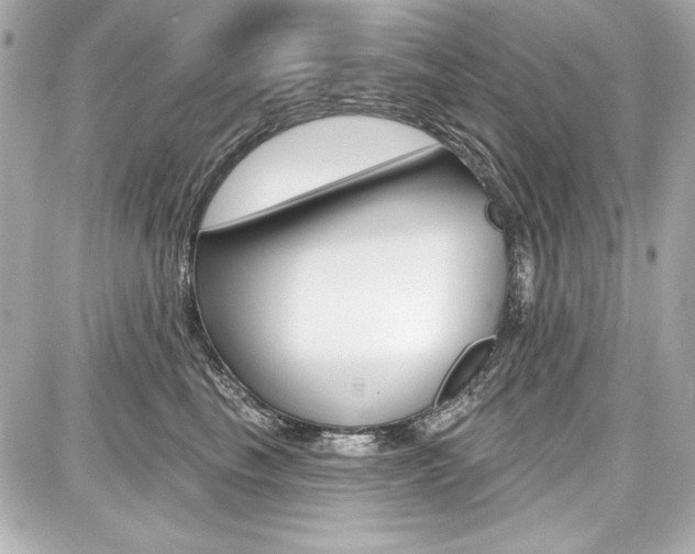 X0000087740665200705070928
