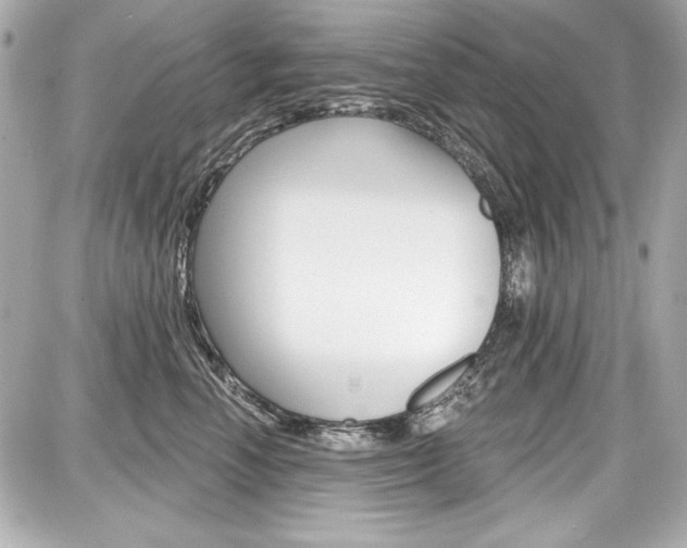 X0000087740666200705070928