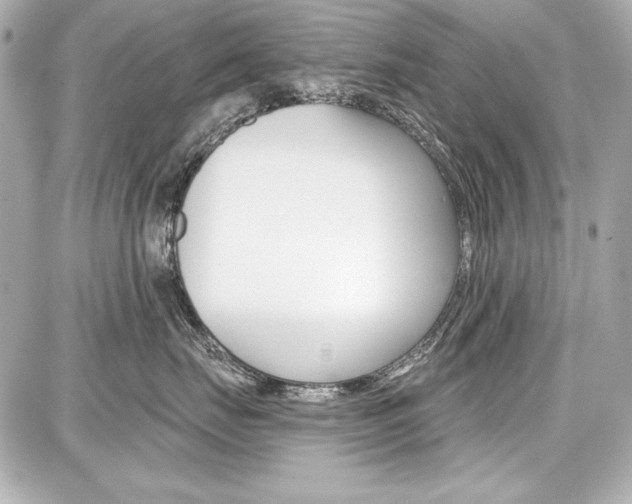 X0000087740671200705070928