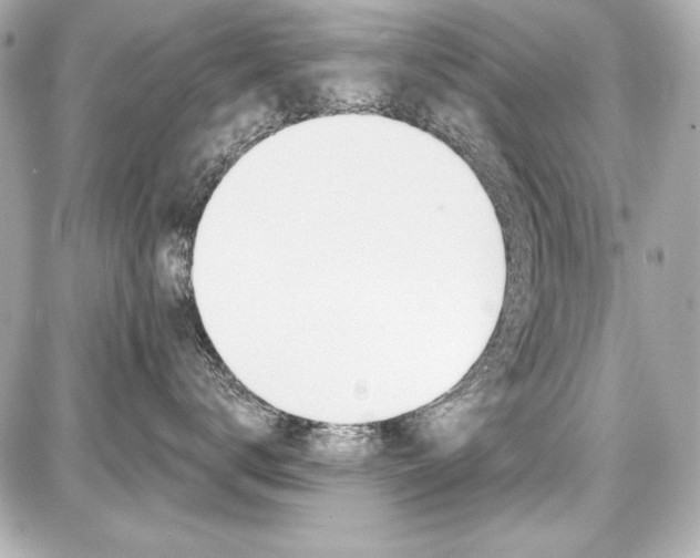 X0000087740672200705070928