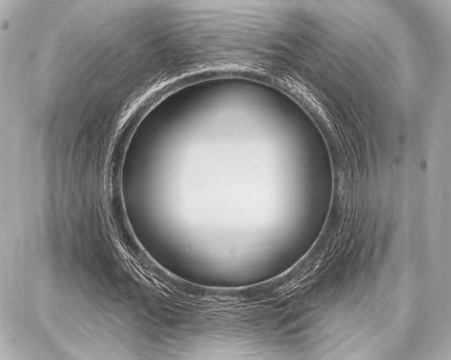 X0000087740676200705070927