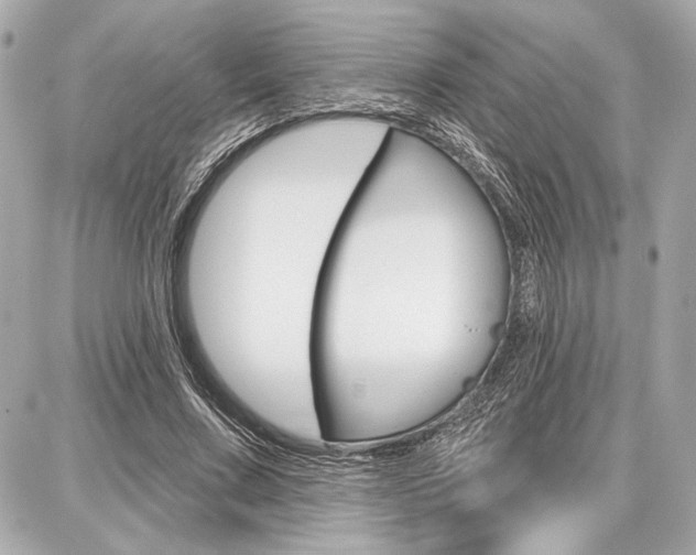 X0000087740683200705070927