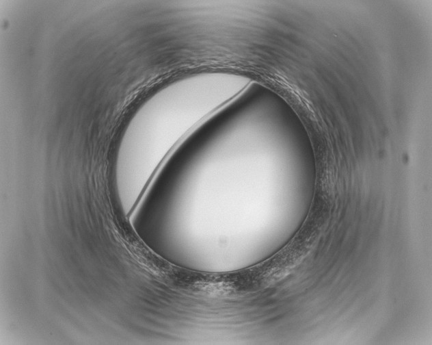 X0000087740689200705070927