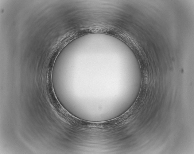 X0000087740690200705070927
