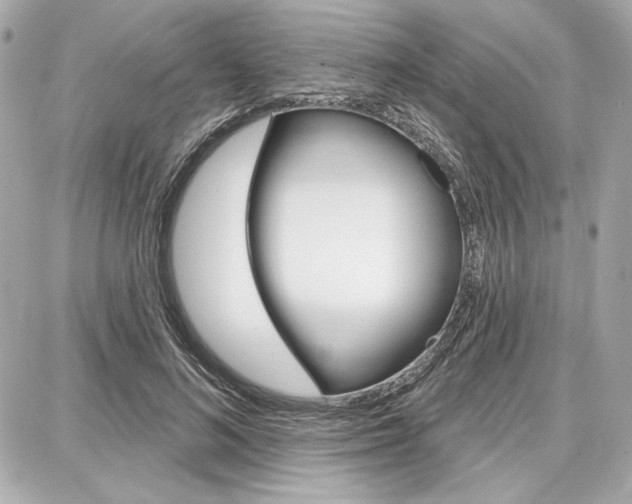 X0000087740692200705070927