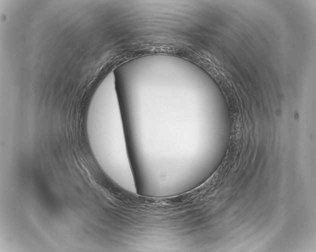 X0000087740695200705070927