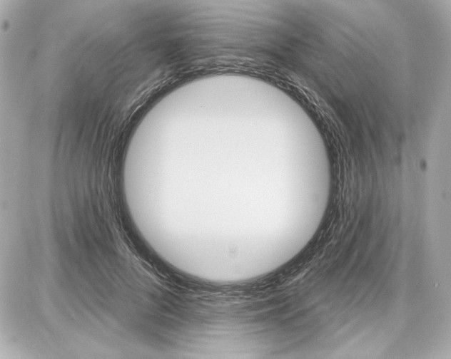 X0000087740696200705070927