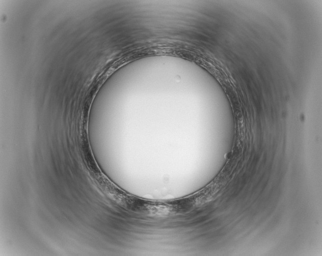 X0000087740698200705070927