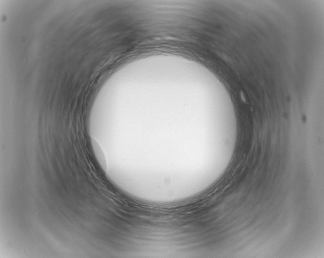 X0000087740705200705070926