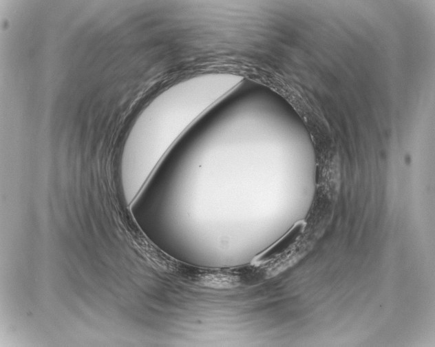 X0000087740708200705070926