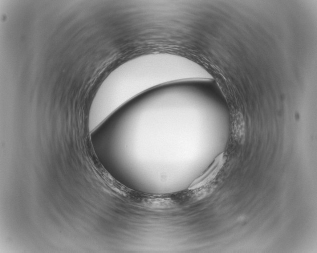 X0000087740716200705070926