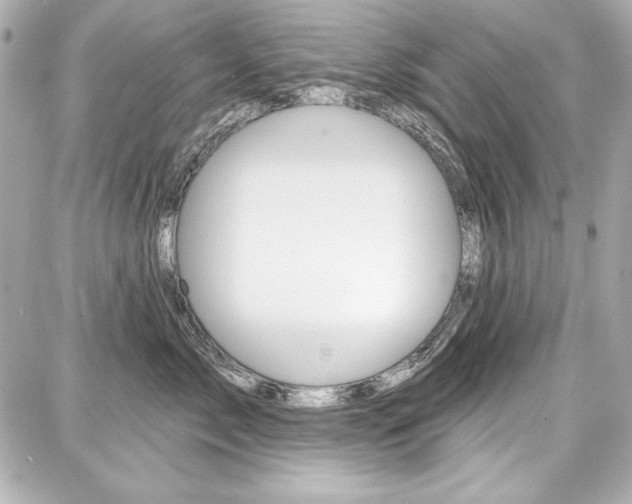 X0000087740717200705070926