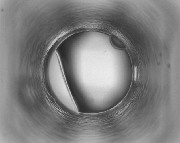 X0000087740723200705070926
