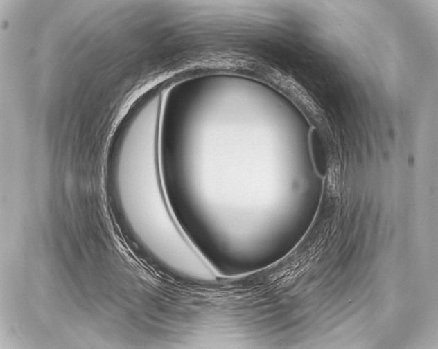 X0000087740724200705070926