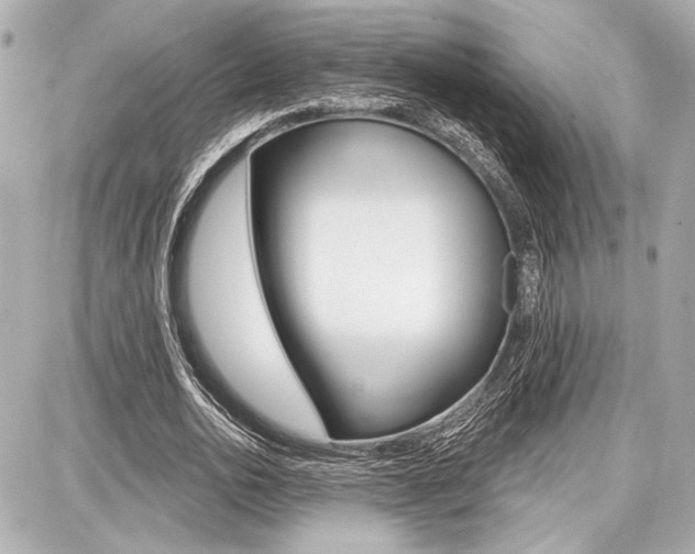 X0000087740726200705070926