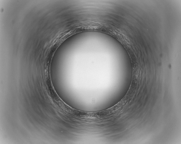 X0000087740743200705070926