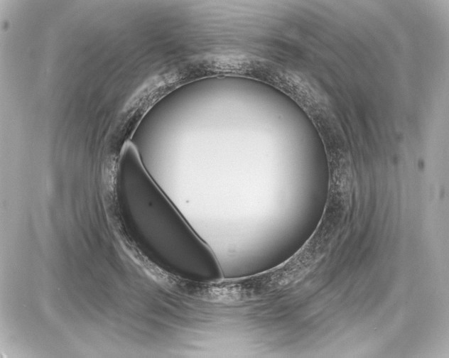 X0000087740744200705070926