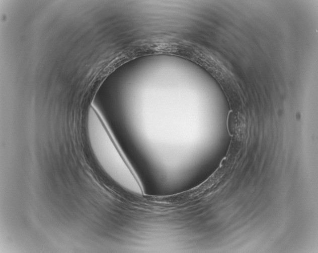X0000087740748200705070926