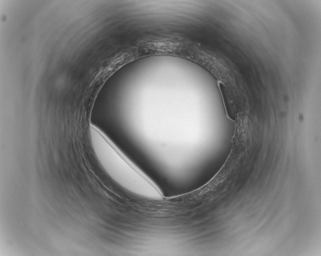 X0000087740752200705070926