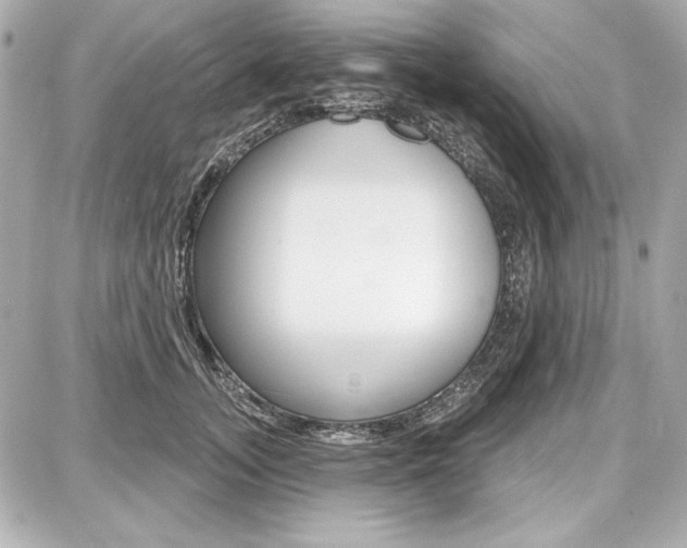 X0000087740755200705070926