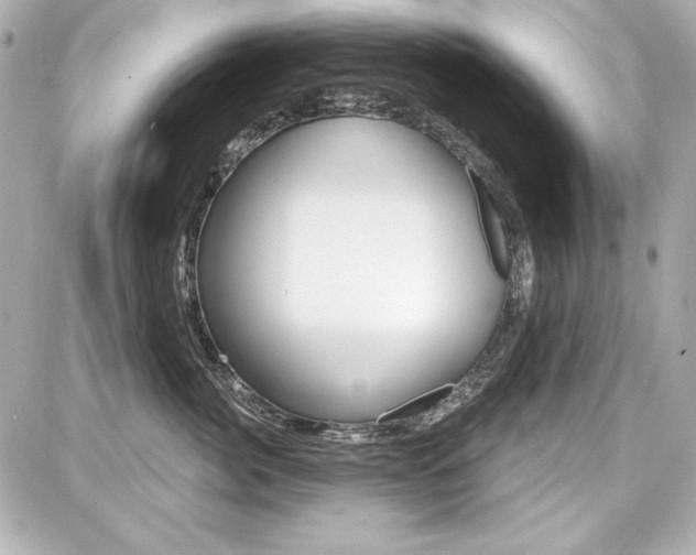 X0000087740764200705070926