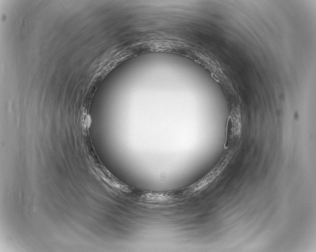 X0000087740766200705070926