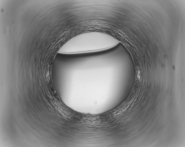 X0000087740771200705070925