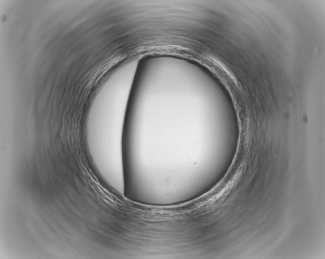 X0000087740777200705070925