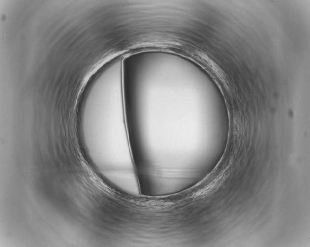 X0000087740779200705070925