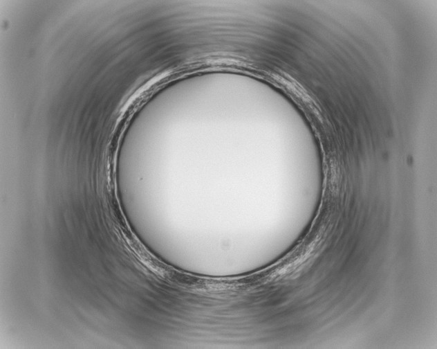 X0000087740782200705070925