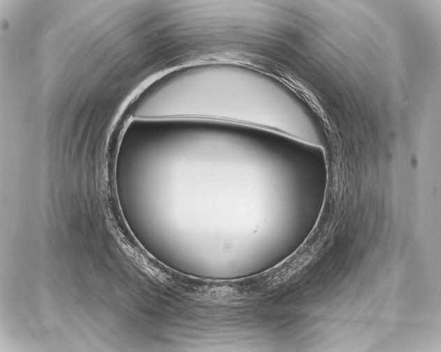 X0000087740784200705070925