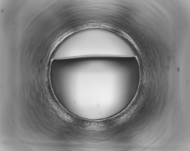X0000087740786200705070925