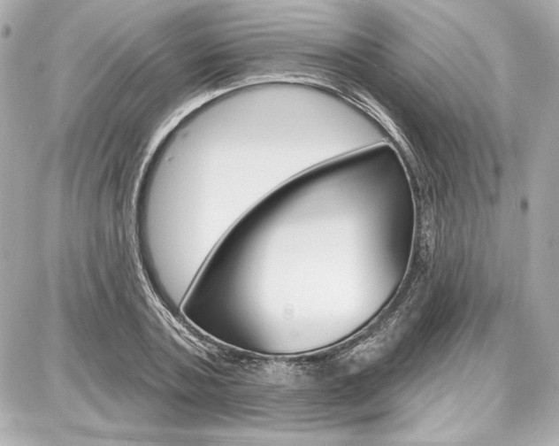 X0000087740787200705070925