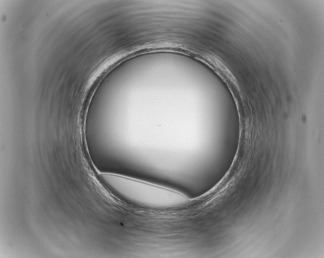 X0000087740789200705070925