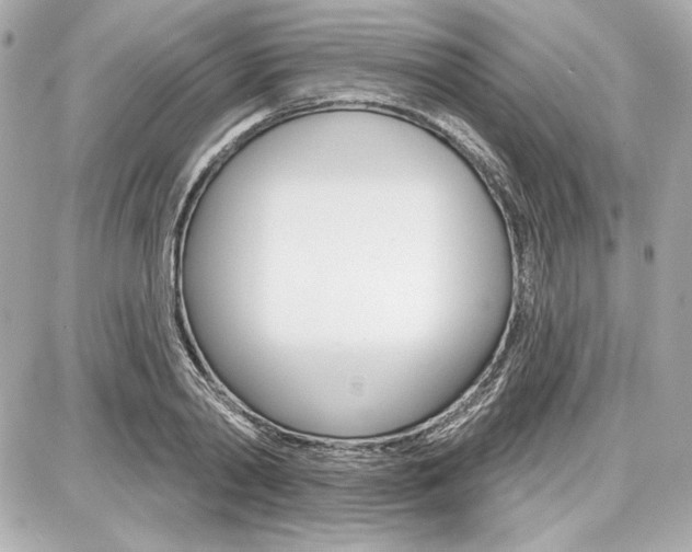 X0000087740790200705070925