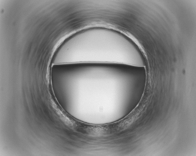 X0000087740791200705070925