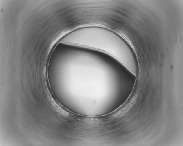 X0000087740797200705070925