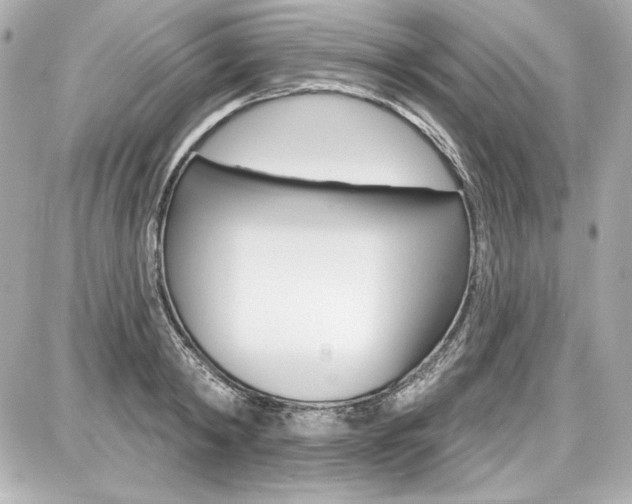 X0000087740798200705070925