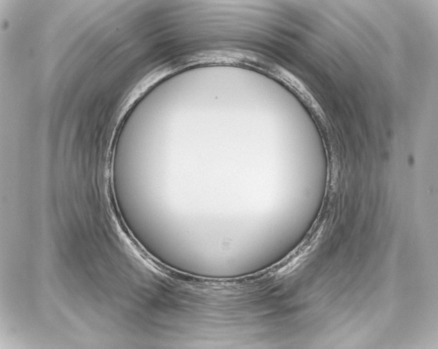 X0000087740802200705070925