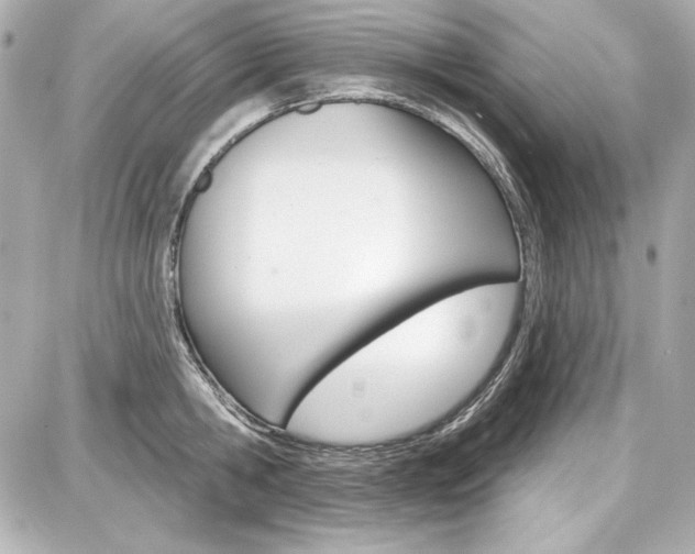 X0000087740806200705070925