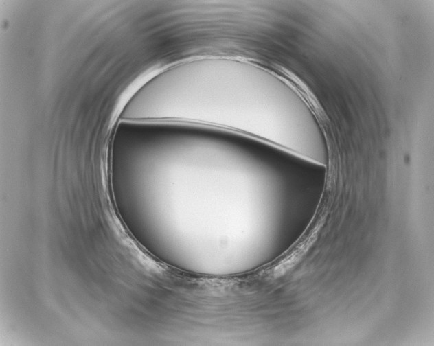 X0000087740812200705070925